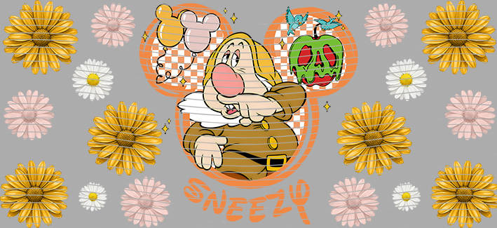 16oz Disney style-D-2486